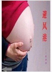 《避風港》