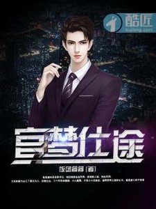 《官梦仕途》