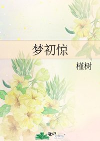 《夢初驚》
