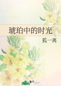 《琥珀中的時光》