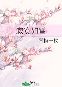 《寂寞如雪》
