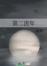 《第二流年》