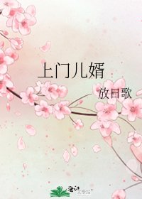 《上門兒婿》