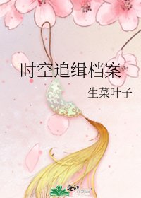 《时空追缉档案》