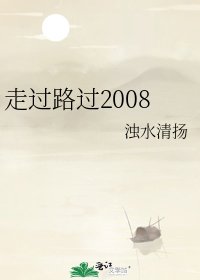 《走过路过2008》