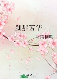 《刹那芳华》