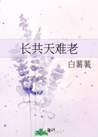 《长共天难老》