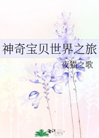 《神奇宝贝世界之旅》