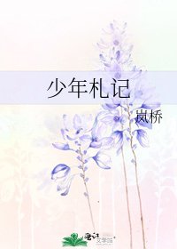 《少年札记》