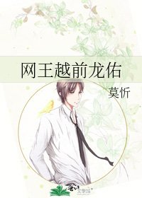 《網王越前龍佑》