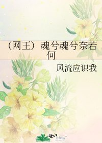 《(網王)魂兮魂兮奈若何》