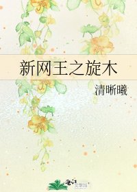 《新網王之旋木》