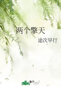 《两个擎天》